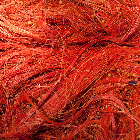 ACHIOTE 11_mosaico galeria_MG_5929.jpg